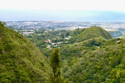 P1036739