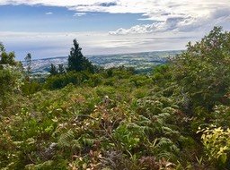 IMG_6534