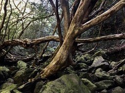 IMG_6545