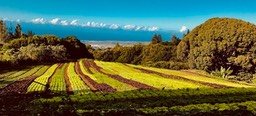 IMG_6552