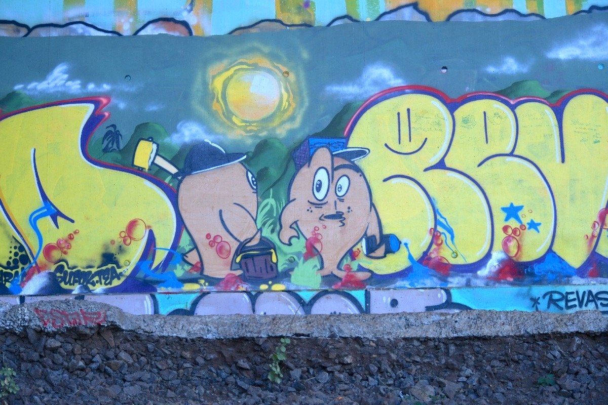 DSC_5420