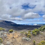 IMG_6164.jpeg