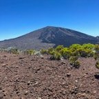2. Piton de la Fournaise, volcan de lLa Réunion le matin.jpeg