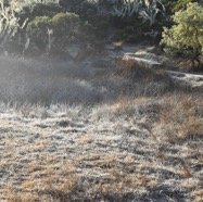 Givre en montant a La Roche Ecrite.jpg
