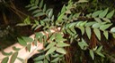 DSCN1766