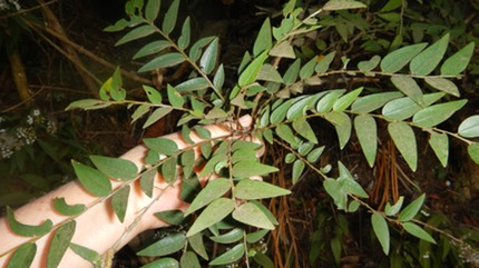 DSCN1766