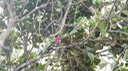 DSCN1768