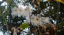 DSCN1769