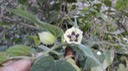 DSCN1770