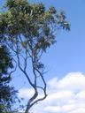 IMG 0001