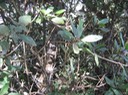 IMG 0002