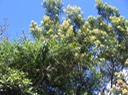 IMG 0004
