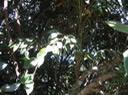 IMG 0005