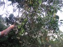 IMG 0010