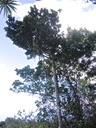 IMG 0013