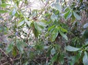 IMG 0015