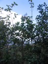 IMG 0016