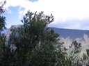 IMG 0017