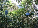IMG 0022