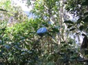 IMG 0023