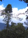 IMG 0024