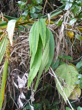 P1110956