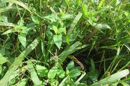 IMG_1965