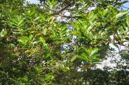 IMG_1969