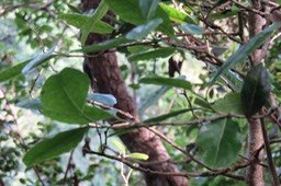 IMG_1972