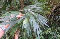IMG_1973