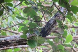 IMG_1980