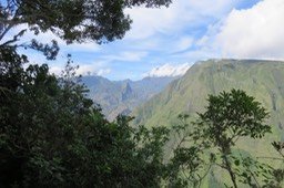 IMG_1998