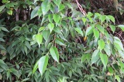 IMG_2014