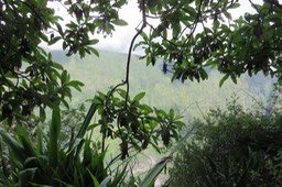 IMG_2027