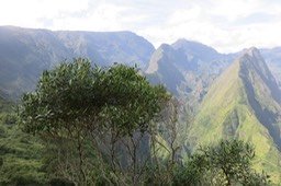 IMG_2039