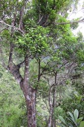 IMG_2050