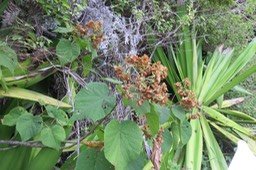 IMG_2056