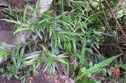 IMG_2060