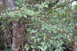 IMG_2076