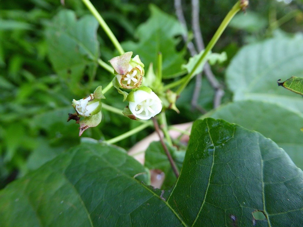 P1050026