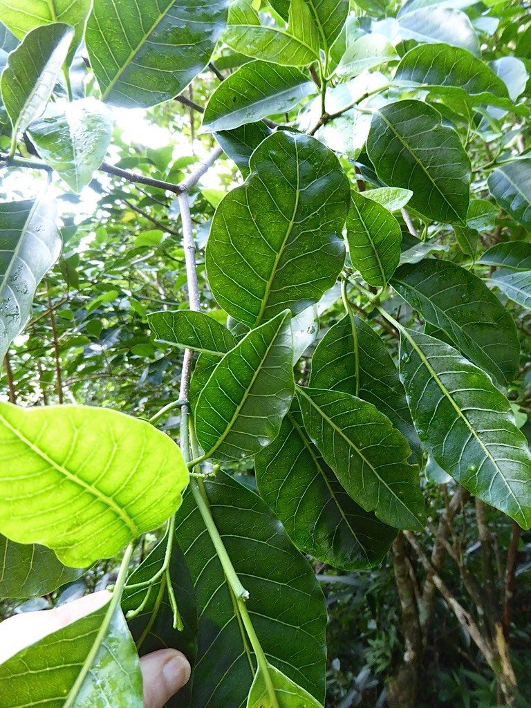 P1050051