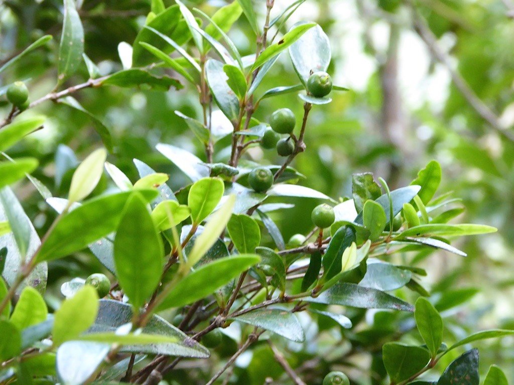 P1050114