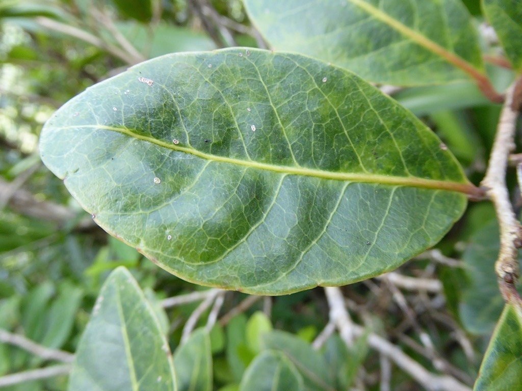 P1050164