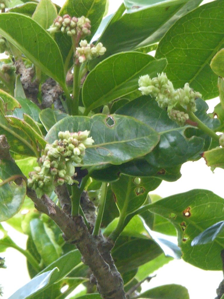 P1050172