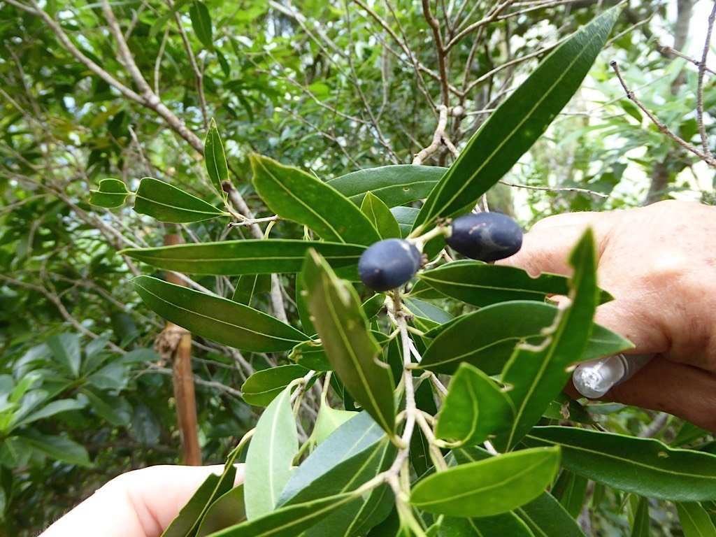 P1050228