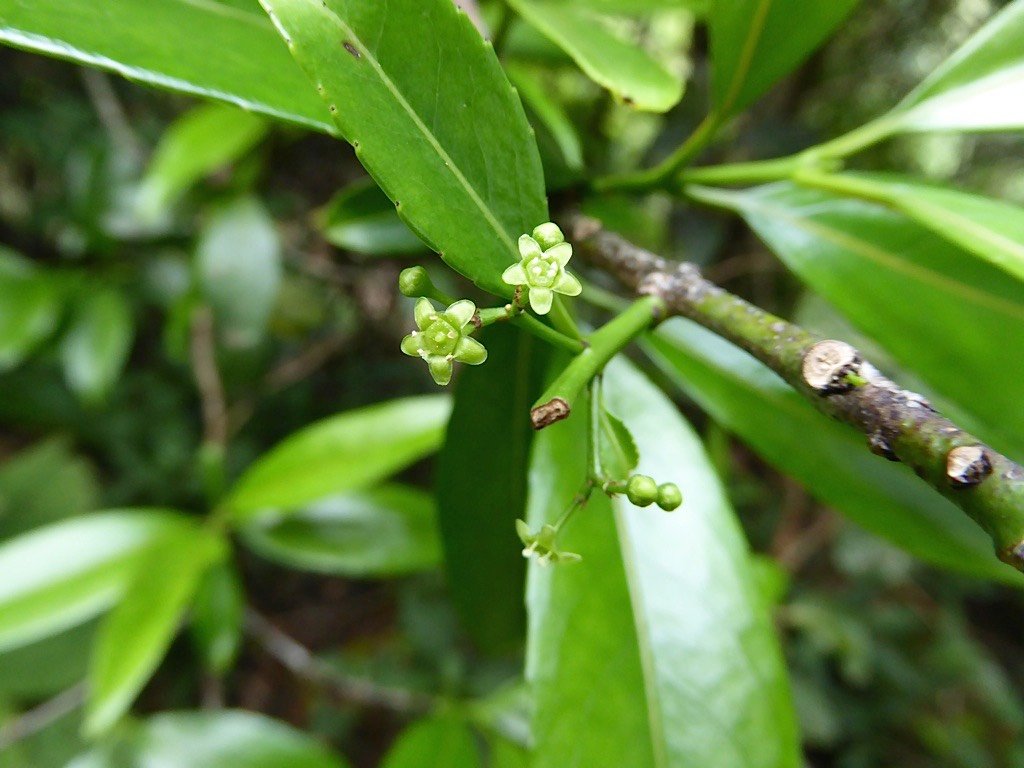P1050251