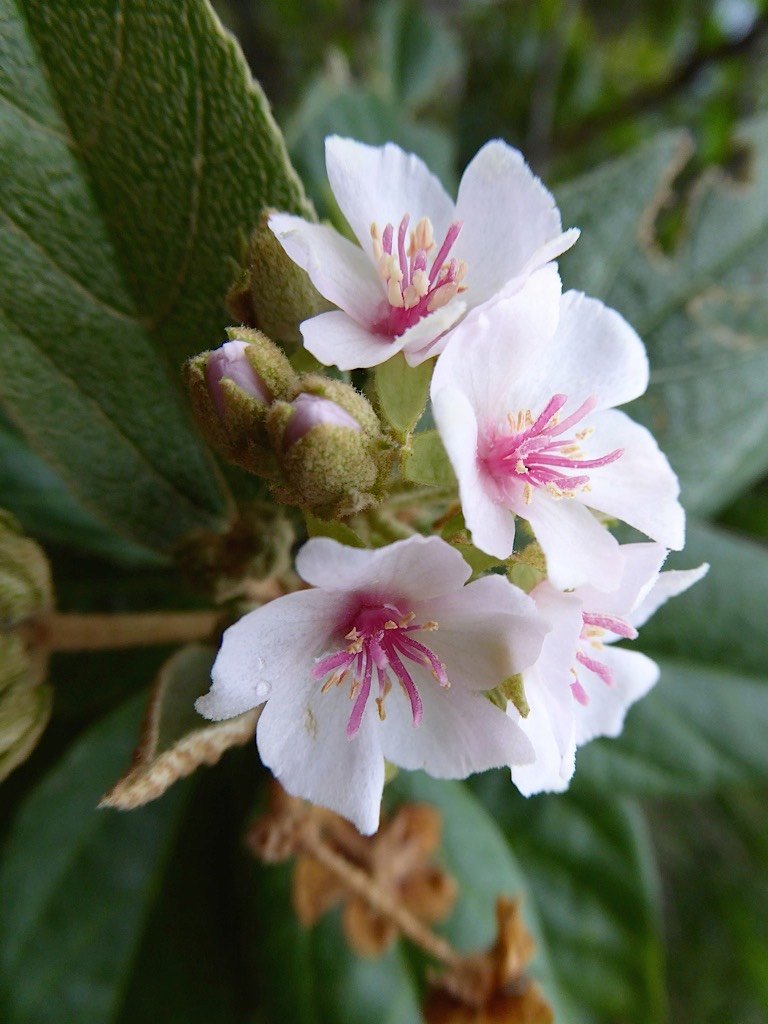 P1050298