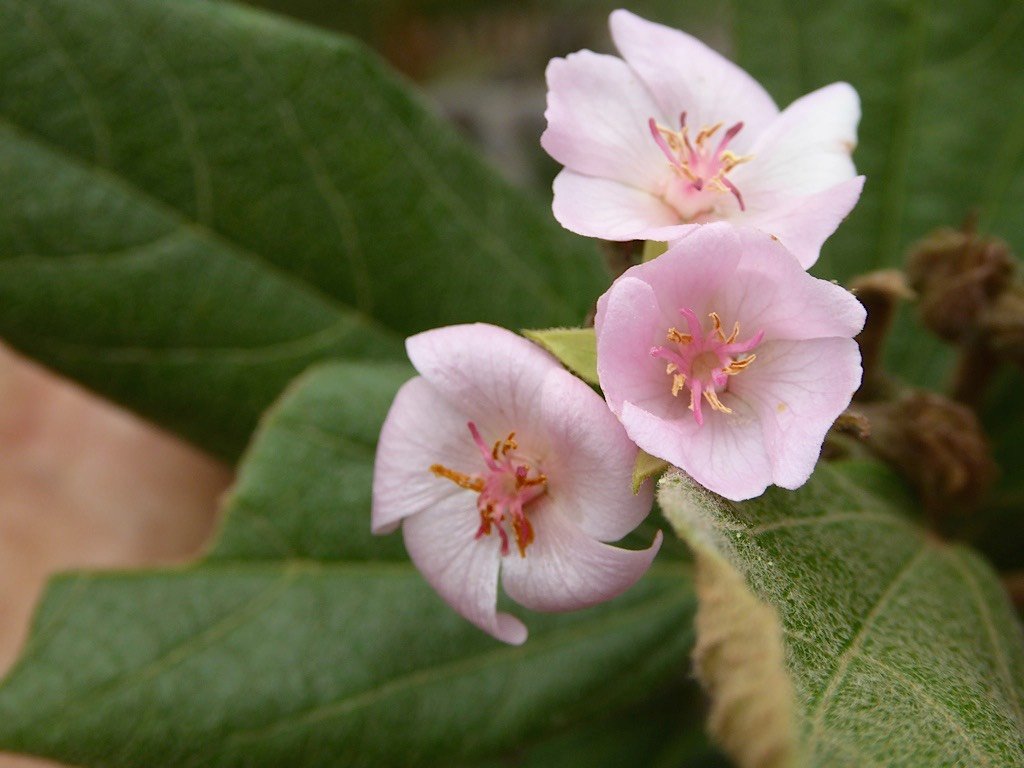 P1050337