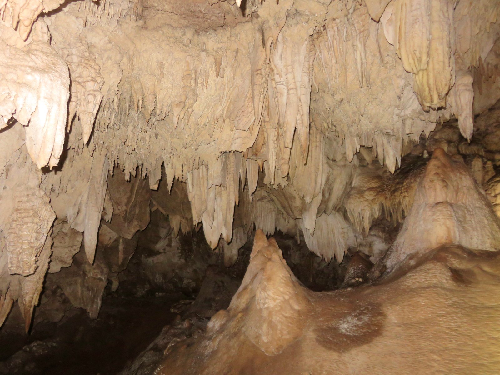                                Caverne de la Réserve François Leguat.
