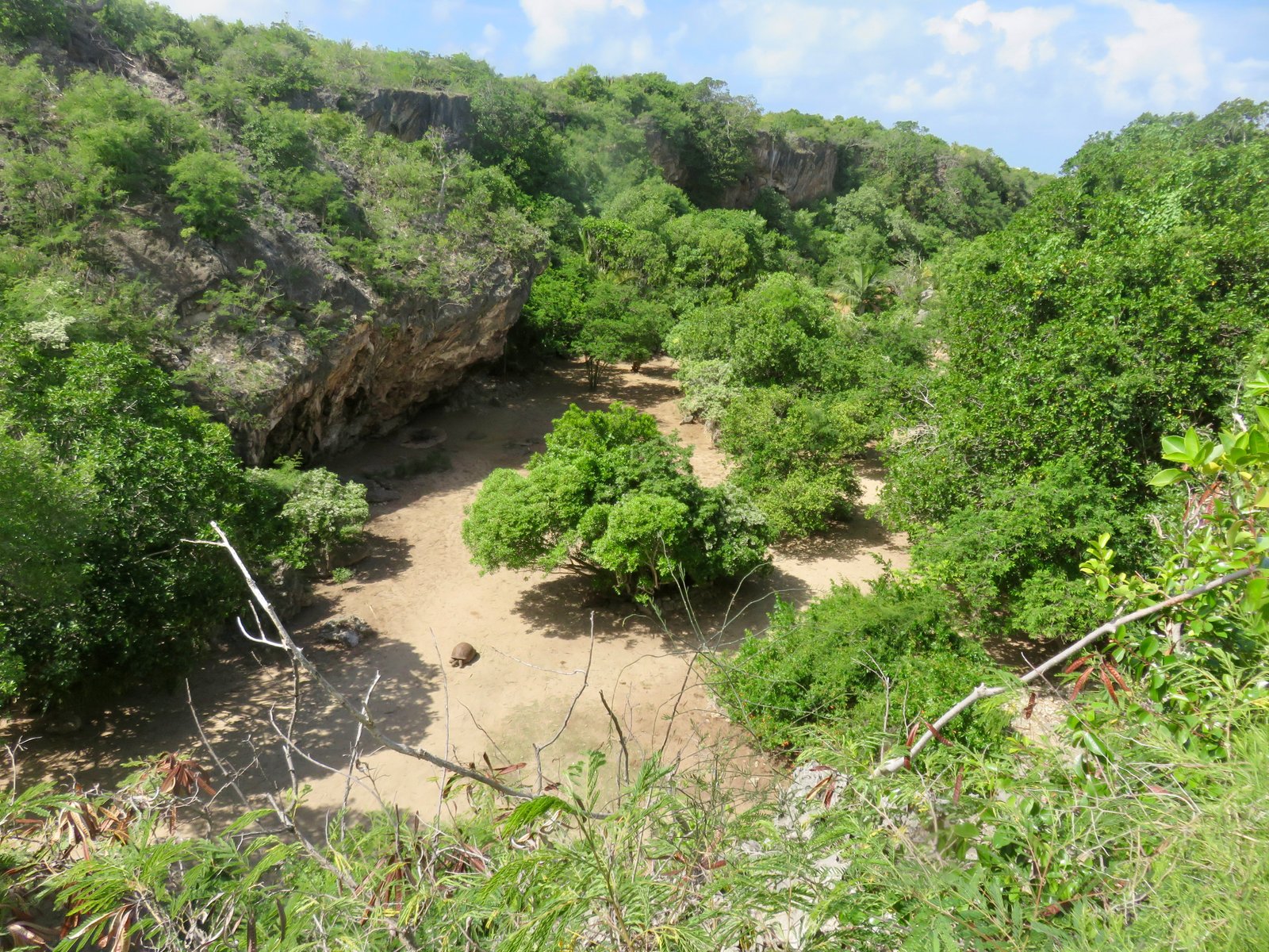Le Canyon aux tortues (Réserve François Leguat)         